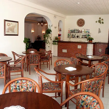 Hotel Delle Palme 3*
